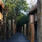 Manglex Eco Tulum
