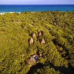 Manglex Eco Tulum