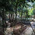 Escarabajo Rojo 3* Tulum