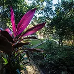 Bed & Breakfast Escarabajo Rojo 3*