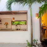 Mango 3*