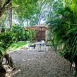 Mango Tulum