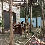 Escarabajo Rojo