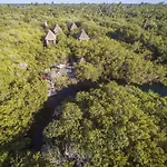 Manglex Eco