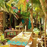 Hostal Revoleco