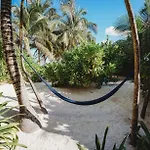 Palms House Holiday home Tulum