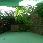 The Hobbit Jungle Room A Bike Included