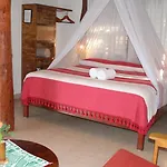 Bt Live Located At The Party Zone Hotel Tulum