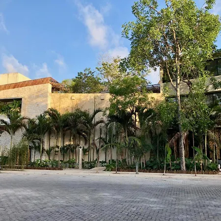 Hotel Orchid House Jungle 5*