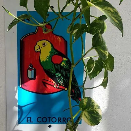 La Casona Hostal