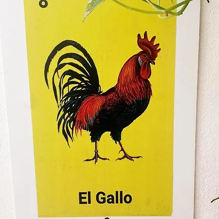 La Casona Hostal