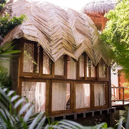 Hotel Orchid House Jungle