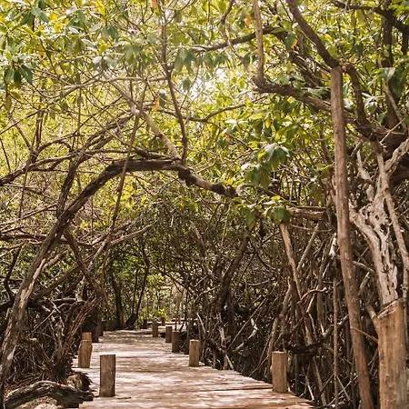 Uman Glamping & Cenote Luxury tent