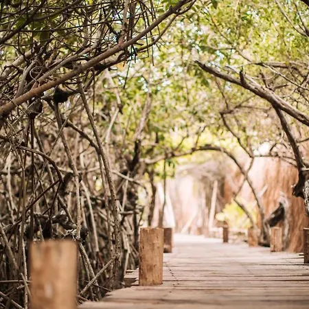 Luxury tent Uman Glamping & Cenote *