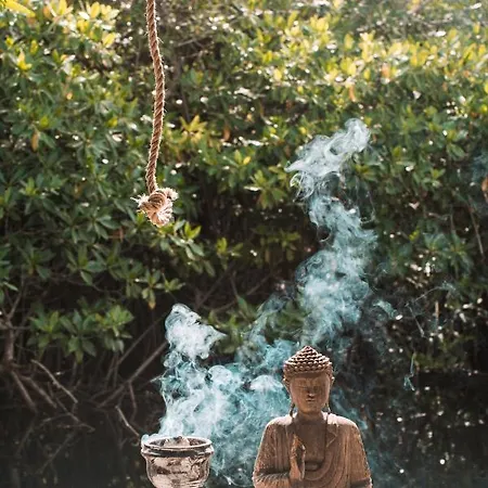 Uman Glamping & Cenote
