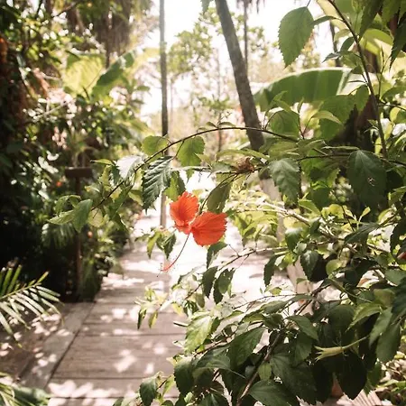Uman Glamping & Cenote Luxury tent Tulum