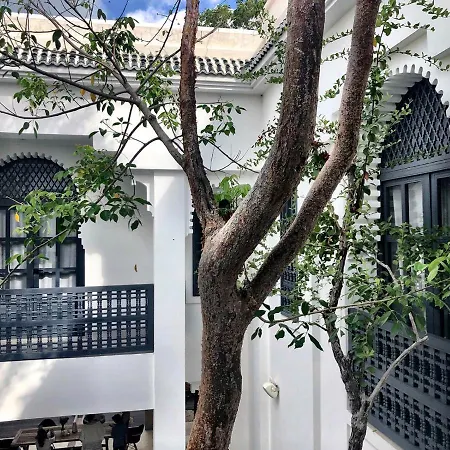 Moroccan Vacation For 16 Guests! * Tulum