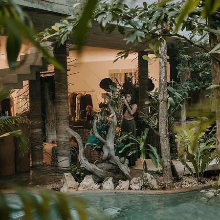 Orchid House Jungle Hotel