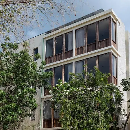 Unho Tulum