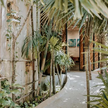 Orchid House Jungle 5*