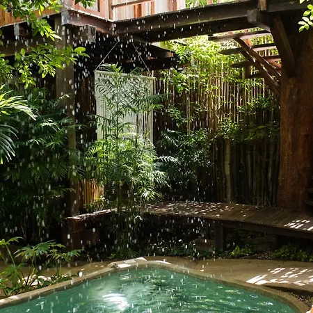 Orchid House Jungle Hotel