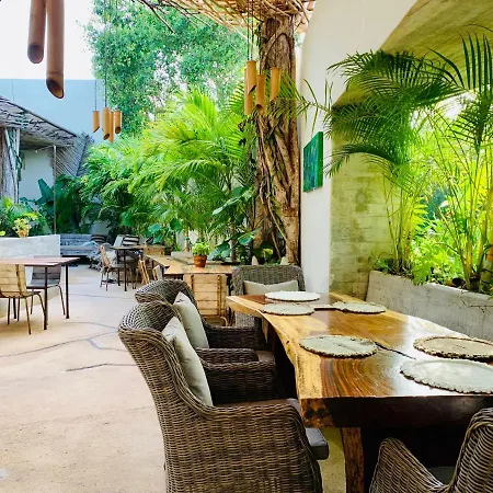 Hotel Orchid House Jungle Tulum