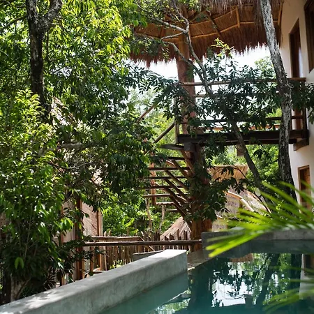 Orchid House Jungle 5*