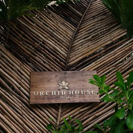 Hotel Orchid House Jungle Tulum