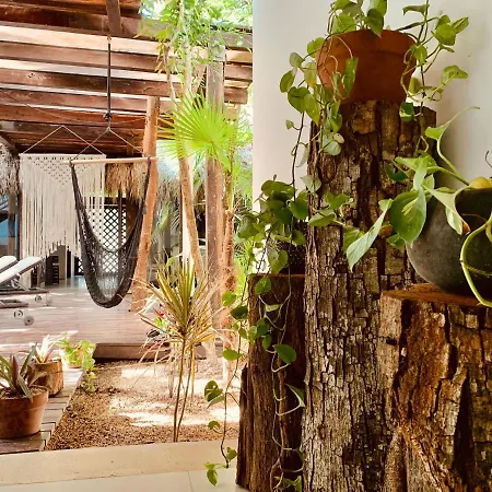 Hotel Orchid House Jungle Tulum