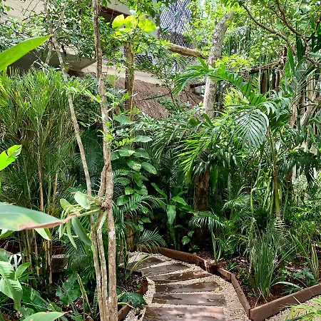 Hotel Orchid House Jungle Tulum