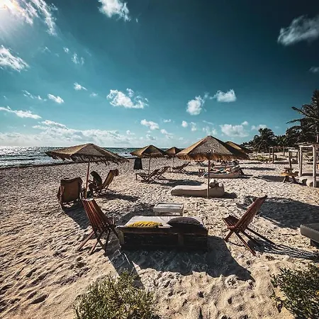Hotel Orchid House (adults Only) Tulum