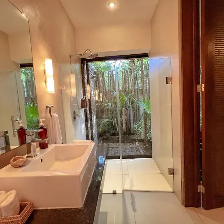 Orchid House Jungle Hotel