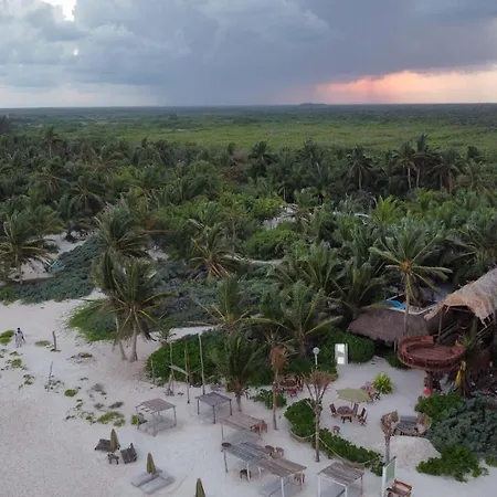 Orchid House (adults Only) Hotel 4*