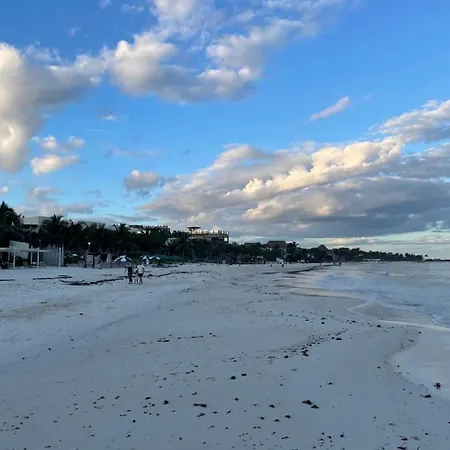 Omara * Tulum