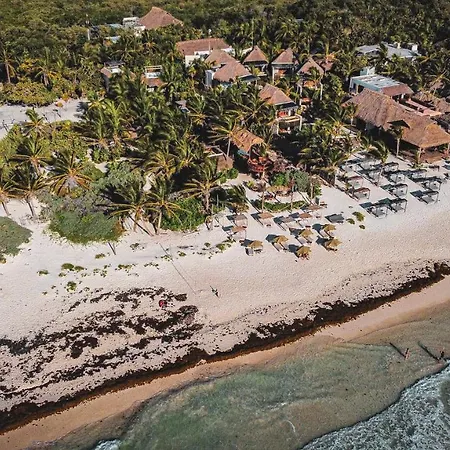 Orchid House (adults Only) Hotel Tulum
