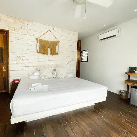 Orchid House (adults Only) Hotel