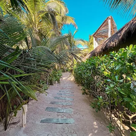 Orchid House (adults Only) 4*
