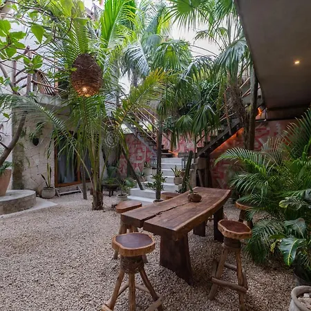Hotel Casa Coyote