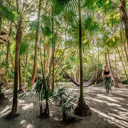 Hotel Hidden Treehouse Eco-hotel 4*