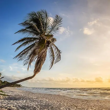 Hotel Hidden Treehouse Eco-hotel Tulum