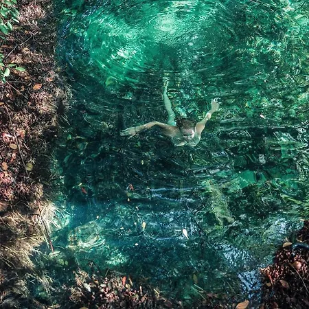 Hidden Treehouse Eco-hotel 4* Tulum