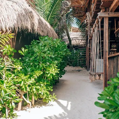 Orchid House (adults Only) Tulum
