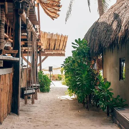 Hotel Orchid House (adults Only) Tulum
