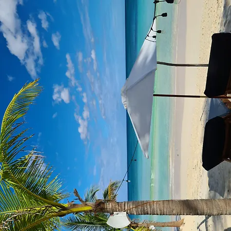 Hotel Amigos Boutique
