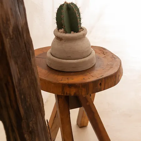 Hotel Amigos Boutique