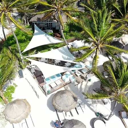Estrellas - Located At The Party Zone Tulum
