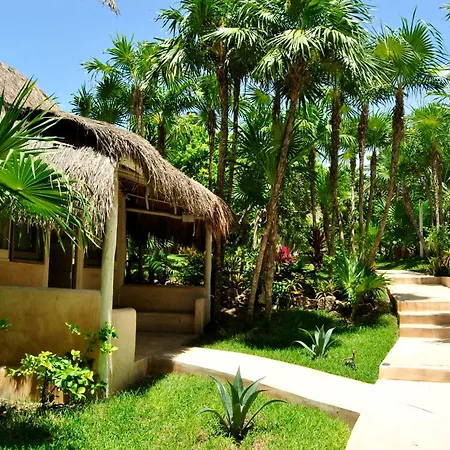 Estrellas - Located At The Party Zone Hotel 4*