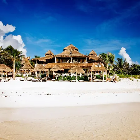 Estrellas - Located At The Party Zone Hotel