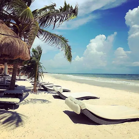 Estrellas - Located At The Party Zone Tulum