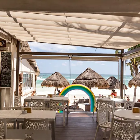Estrellas - Located At The Party Zone